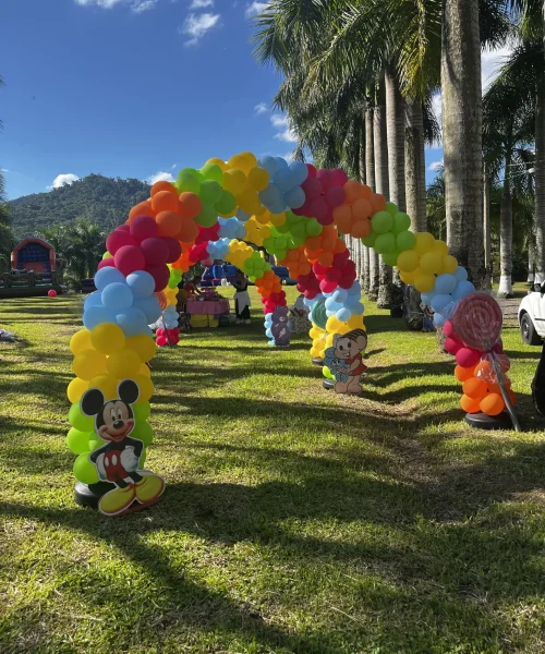 ARCO DE BALÃO AO AR LIVRE